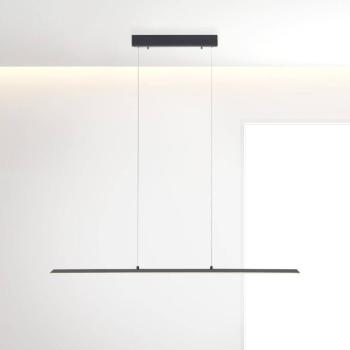 PURE Lite LED lógó világítás, grafit, 100 cm, CCT, dimmelhető kép