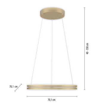 LED lógó világítás PURE E-Loop, elefántcsont arany, Ø 70 cm, alumínium, CCT kép