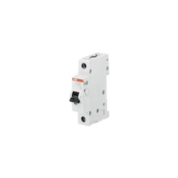ABB 2CDS251001R0025 - 1 fázisú Biztosíték S201-B2 230V 2CDS251001R0025 kép