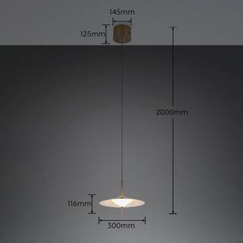 Amalo LED lógó lámpa, platina színű, Ø 30 cm, fém, CCT kép