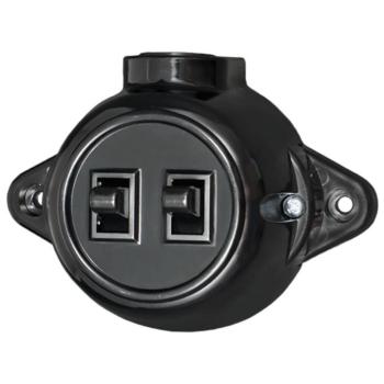 ANTIQUE TWO BUTTON ONE WAY SWITCH 10А 250V BLACK kép
