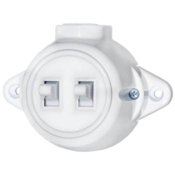 ANTIQUE TWO BUTTON ONE WAY SWITCH 10А 250V WHITE kép
