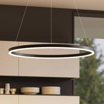 Arcchio Albiona LED lógó világítás, fekete, 1 gyűrű, Ø 80 cm kép