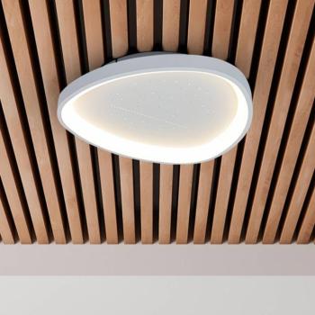 Argesa LED mennyezeti világítás, Ø 42 cm, fehér, CCT, távirányító kép