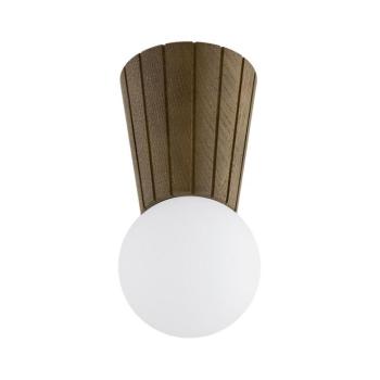Argon 8974 - VOLANTE fürdőszobai mennyezeti lámpa 1xG9/6W/230V IP44 átm. 12 cm barna 8974 kép
