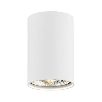 Argon 4910 - Spotlámpa TUBO AR111 1xGU10/15W/230V fehér 4910 kép