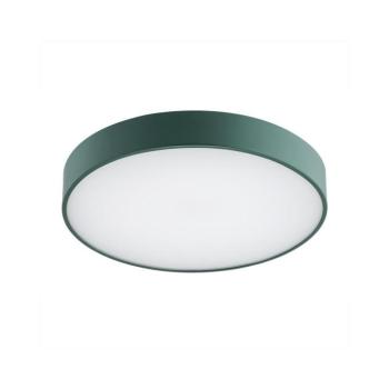 Argon 8335 - LED Mennyezeti lámpa TIAMO LED/22W/230V 4000K zöld 8335 kép