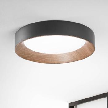Arka LED mennyezeti lámpa, Ø 50 cm, fekete, fém, CCT kép