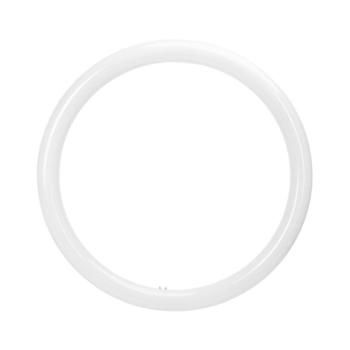 B.V. LED fénycső G10q/20W/230V 6500K - B10104AAXF kép