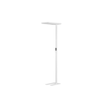 Biolight LED dekoratív állólámpa kép