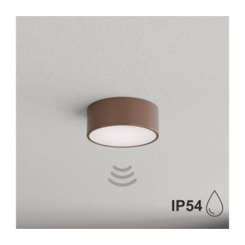 BRILAGI - CLARE fürdőszobai mennyezeti lámpa szenzorral 1xE27/24W/230V Ø 20 cm barna IP54 8590828125761 kép