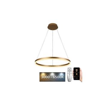 BRILAGI - Dimmelhető kábeles LED függeszték CIRCLE LED/42W/230V 3000-6500K + távirányító BG-J4308/G kép