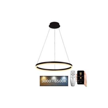 BRILAGI - Dimmelhető LED függeszték zsinóron CIRCLE LED/42W/230V 3000-6500K + távirányító BG-J4308/B kép