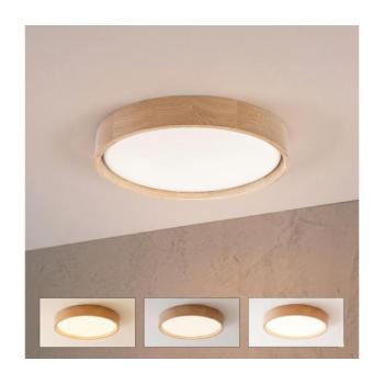 BRILAGI - dimmelhető LED mennyezeti lámpa MANAROLA SMART LED/24W/230V átm. 41 cm + távirányító 8590828037798 kép