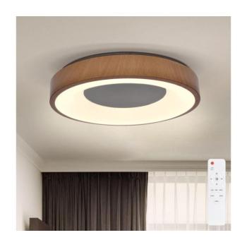 BRILAGI - DORIA LED 48W stropní stmívatelné svítidlo 3000-6500K + DO WO800-OEM10 kép