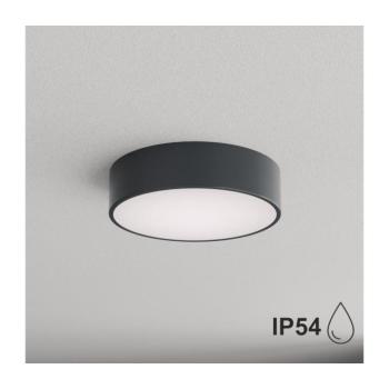 BRILAGI - Fürdőszobai mennyezeti lámpa CLARE 2xE27/24W/230V Ø 30 cm antracit IP54 8590828125679 kép