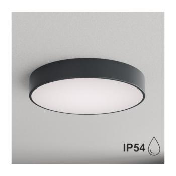 BRILAGI - Fürdőszobai mennyezeti lámpa CLARE 4xE27/24W/230V átm. 50 cm antracit IP54 8590828125716 kép