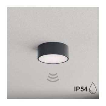 BRILAGI - Fürdőszobai mennyezeti lámpa érzékelővel CLARE 1xE27/24W/230V átm. 20 cm antracit IP54 8590828125662 kép