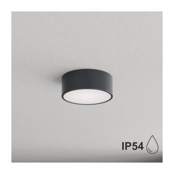 BRILAGI - Fürdőszobai mennyezeti lámpatest CLARE 1xE27/24W/230V átm. 20 cm antracitszürke IP54 8590828125655 kép