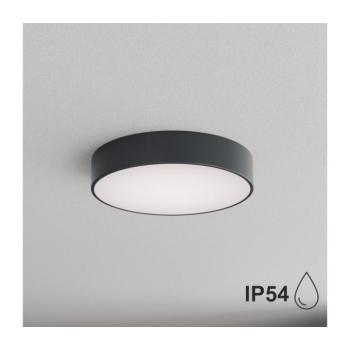 BRILAGI - Fürdőszobai mennyezeti lámpatest CLARE 3xE27/24W/230V átm. 40 cm antracit IP54 8590828125693 kép