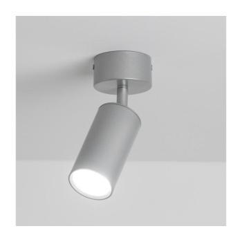 BRILAGI - Fürdőszobai spotlámpa SELE 1xGU10/30W/230V IP44 ezüst WO-SVL1-OEM kép