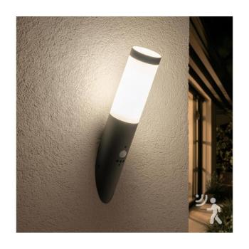 BRILAGI - Kültéri fali lámpa érzékelővel ELIA 1xE27/20W/230V IP44 antracit GD-EL0R40-93 kép