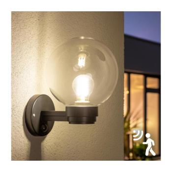 BRILAGI - Kültéri fali lámpa érzékelővel HARBOR 1xE27/40W/230V IP33 fekete/átlátszó GD-HAWUST-00 kép