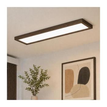 BRILAGI-LED állítható fényű WOODY FRAME LED/50W/230V tölgy 120x30 cm IP44 +DO 8590828607328 kép