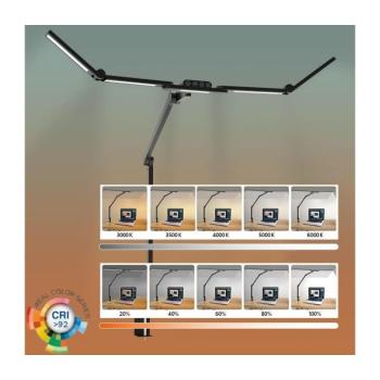 BRILAGI - LED Dimmelhető flexibilis asztali lámpa VARIO LED/24W/230V 3000-6500K fekete kép
