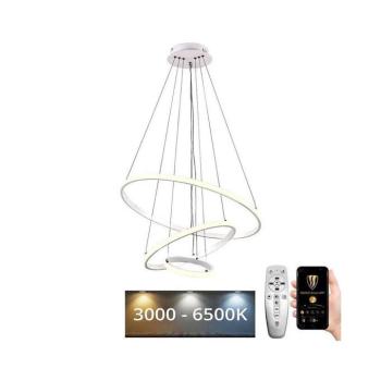 BRILAGI - LED dimmelhető kábeles csillár CIRCLE LED/90W/230V 3000-6500K + távirányító BG-J4301/W