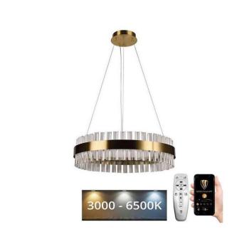 BRILAGI - LED dimmelhető kristály csillár acélhuzalon HALO LED/40W/230V + távirányító BG-J6301/C kép