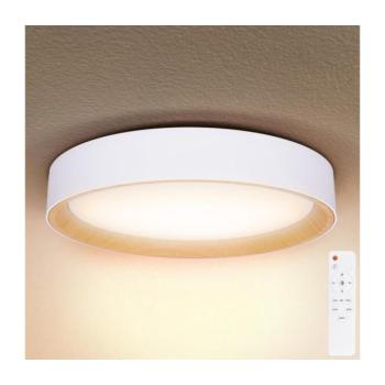 BRILAGI -LED Dimmelhető lámpa LARIOS LED/60W/230V 3000-6500K ø 49 cm fehér + távirányító WO800-OEM18 kép