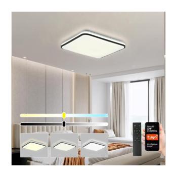 BRILAGI - LED Dimmelhető lámpa SMART LED/36W/230V 45x45 cm Wi-Fi Tuya + távirányító BRI063 kép