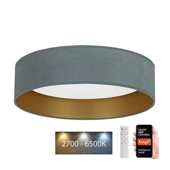 BRILAGI - LED Dimmelhető lámpa VELVET SMART LED/24W/230V Wi-Fi Tuya + távirányító kép