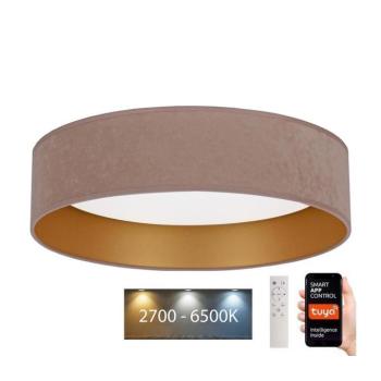 BRILAGI - LED Dimmelhető lámpa VELVET SMART LED/36W/230V Wi-Fi Tuya + távirányító kép