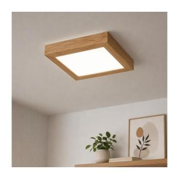 BRILAGI-LED Dimmelhető lámpa WOODY FRAME LED/24W/230V tölgy 30x30 cm IP44 + távirányító 8590828607243 kép