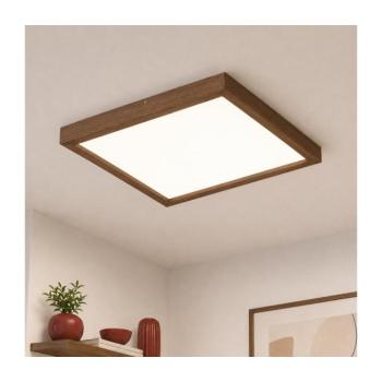 BRILAGI-LED Dimmelhető lámpa WOODY FRAME LED/50W/230V tölgy 60x60 cm IP44 + távirányító 8590828607281 kép