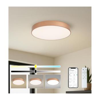 BRILAGI-LED dimmelhető lámpatest POOL SMART LED/60W/230V 50 cm Wi-Fi Tuya rézszínű + távirányító BRI1030 kép