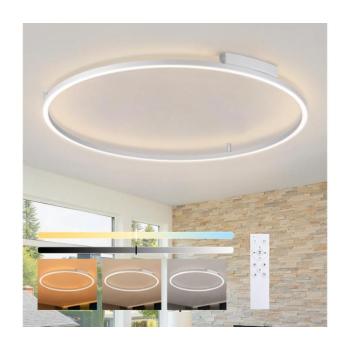 BRILAGI - LED dimmelhető lámpatest PORTOFINO LED/85W/230V átm. 120 cm ezüstszínű+távirányító BRI525 kép