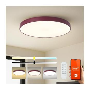 BRILAGI-LED dimmelhető medencelámpa POOL SMART LED/100W/230V 80 cm Wi-Fi Tuya+távirányító bordó BRI713 kép