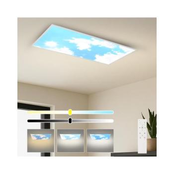 BRILAGI - LED dimmelhető mennyezeti lámpatest SLIMFRAME SKY LED/80W/230V 120x60 cm + távirányító BRI779