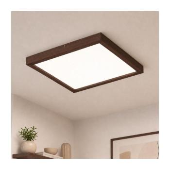 BRILAGI-LED Dimmelhető világítótest WOODY FRAME LED/50W/230V tölgy 60x60 cm IP44 + távirányító 8590828607298 kép