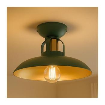 BRILAGI - LED Felületre szerelhető csillár FLAMENGO 1xE27/60W/230V zöld BG72378 kép