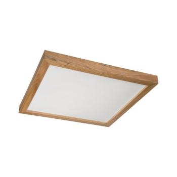 BRILAGI - LED fürdőszobai lámpatest WOODY FRAME LED/40W/230V 60x60 cm IP44 tölgy 8590828007753 kép