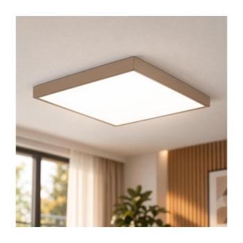 BRILAGI -LED fürdőszobai mennyezeti lámpa FRAME LED/50W/230V 60x60 cm IP44 bézs WO02-BEI-OEM kép