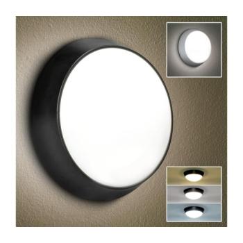 BRILAGI-LED Kültéri fali lámpa BULKHEAD LED/20W/230V 3000/4000/6000 IP65 WO7901-OEM kép