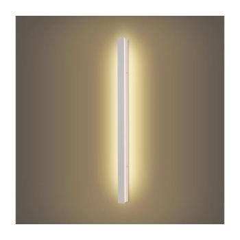 BRILAGI -LED kültéri fali lámpatest LINEAR LED/22W/230V 3000K IP65 100 cm fehér CRI 90 BRI832 kép