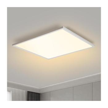 BRILAGI - LED Mennyezeti lámpa SLIMFRAME LED/58W/230V 60x60 cm fehér BRI174 kép