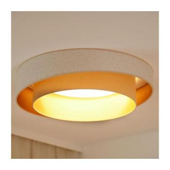 BRILAGI - LED Mennyezeti lámpa VEGAS SHINE LED/24W/230V átm. 60 cm bézs/krémes 608251 kép
