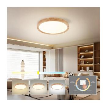 BRILAGI - LED mennyezeti lámpa WOODROUND LED/30W/230V 3000/4000/6000K Ø 40 cm BRI574 kép